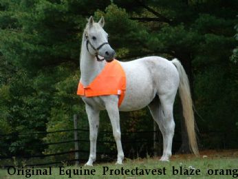 The Original Equine Protectavest blaze orange horse vest for hunting season safety 